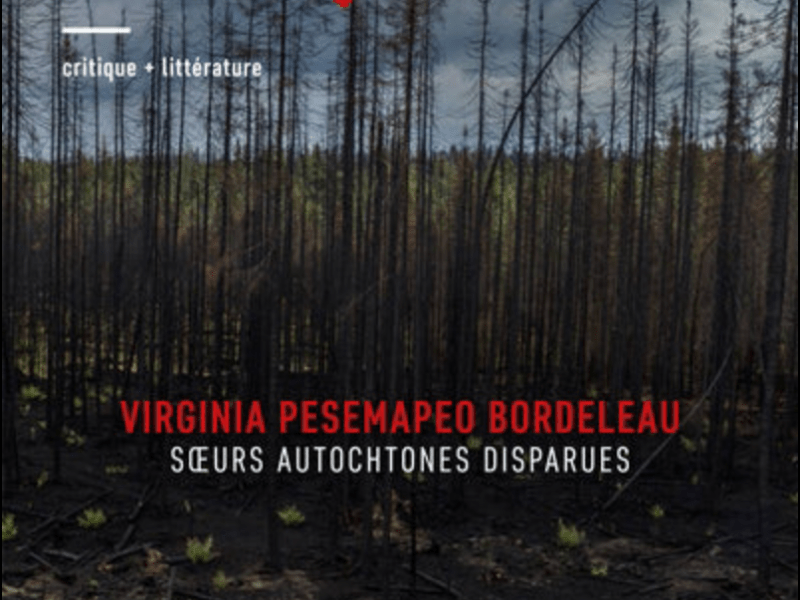 « Prendre la poussière » dans Lettres&nbsp;québécoises